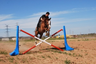 Salto profesional